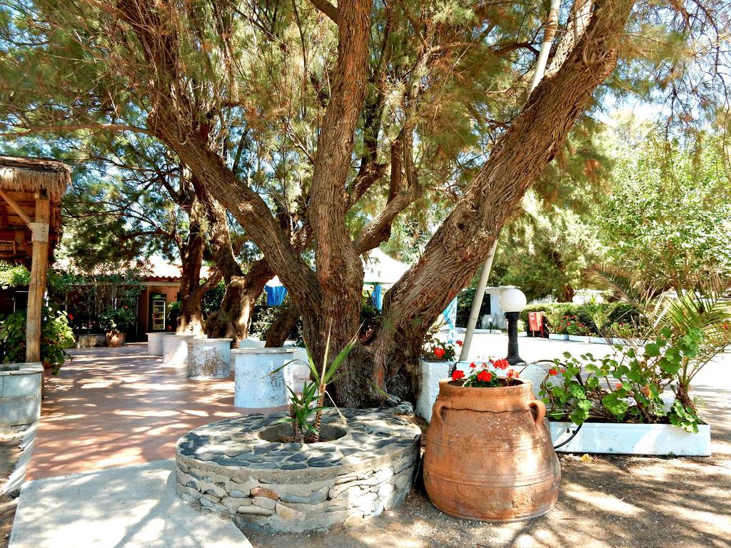 Camping Mithimna Kissamos Ngoại thất bức ảnh
